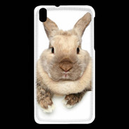 Coque HTC Desire 816 Portrait de lapin
