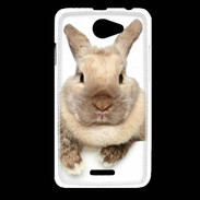 Coque HTC Desire 516 Portrait de lapin