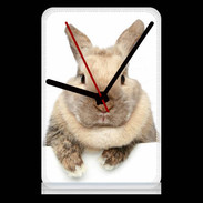 Pendule de bureau Portrait de lapin