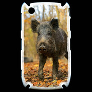 Coque Blackberry 8520 Jeune sanglier 100
