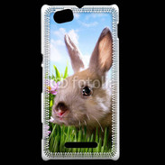 Coque Sony Xperia M Portrait de lapin 610