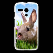 Coque Motorola G Portrait de lapin 610