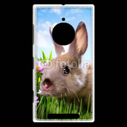 Coque Nokia Lumia 830 Portrait de lapin 610