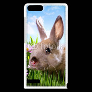 Coque Huawei Ascend G6 Portrait de lapin 610