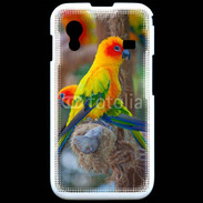 Coque Samsung ACE S5830 Aratinga Solstitialis