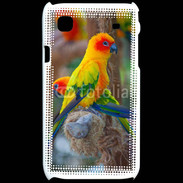 Coque Samsung Galaxy S Aratinga Solstitialis