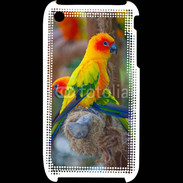 Coque iPhone 3G / 3GS Aratinga Solstitialis