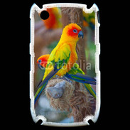 Coque Blackberry 8520 Aratinga Solstitialis
