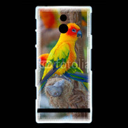 Coque Sony Xperia P Aratinga Solstitialis