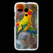 Coque Motorola G Aratinga Solstitialis