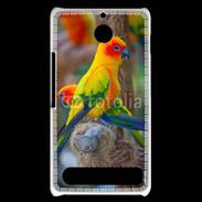 Coque Sony Xperia E1 Aratinga Solstitialis