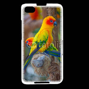 Coque Blackberry Z30 Aratinga Solstitialis