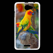 Coque HTC Desire 516 Aratinga Solstitialis