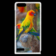 Coque Huawei Ascend G6 Aratinga Solstitialis