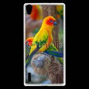 Coque Huawei Ascend P7 Aratinga Solstitialis