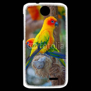 Coque HTC Desire 310 Aratinga Solstitialis