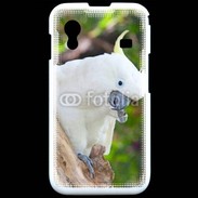 Coque Samsung ACE S5830 Oiseau Cacatoès blanc 25