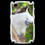 Coque Blackberry 8520 Oiseau Cacatoès blanc 25