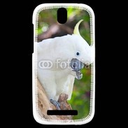 Coque HTC One SV Oiseau Cacatoès blanc 25