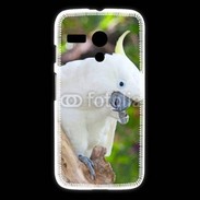 Coque Motorola G Oiseau Cacatoès blanc 25