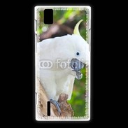 Coque Huawei Ascend P2 Oiseau Cacatoès blanc 25