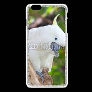 Coque iPhone 6Plus / 6Splus Oiseau Cacatoès blanc 25