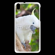 Coque HTC Desire 816 Oiseau Cacatoès blanc 25