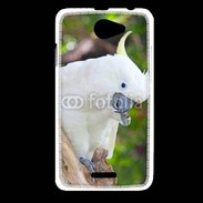 Coque HTC Desire 516 Oiseau Cacatoès blanc 25