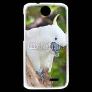 Coque HTC Desire 310 Oiseau Cacatoès blanc 25