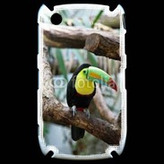 Coque Blackberry 8520 Portrait d'un Toucan 15