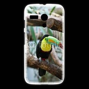 Coque Motorola G Portrait d'un Toucan 15