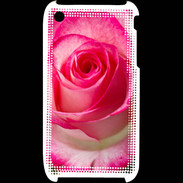 Coque iPhone 3G / 3GS Belle rose 3