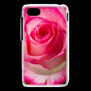 Coque Blackberry Q5 Belle rose 3