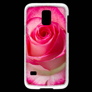 Coque Samsung Galaxy S5 Mini Belle rose 3