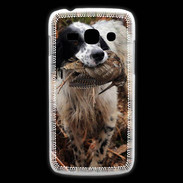 Coque Samsung Galaxy Ace3 Setter rapportant une bécasse