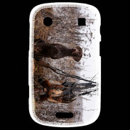 Coque Blackberry Bold 9900 Chien de chasse 1