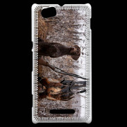 Coque Sony Xperia M Chien de chasse 1