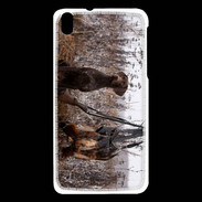 Coque HTC Desire 816 Chien de chasse 1