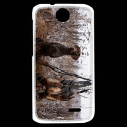 Coque HTC Desire 310 Chien de chasse 1