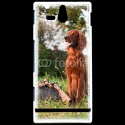 Coque Sony Xperia U chien de chasse 300