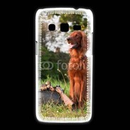 Coque Samsung Galaxy Express2 chien de chasse 300