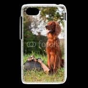 Coque Blackberry Q5 chien de chasse 300