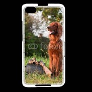 Coque Blackberry Z30 chien de chasse 300