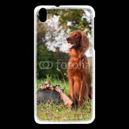 Coque HTC Desire 816 chien de chasse 300