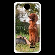 Coque HTC Desire 310 chien de chasse 300