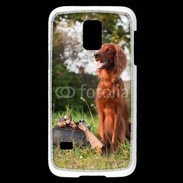 Coque Samsung Galaxy S5 Mini chien de chasse 300