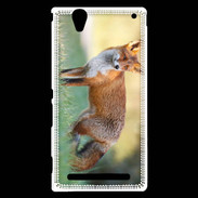 Coque Sony Xperia T2 Ultra Renard en ballade