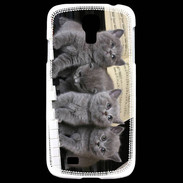 Coque Samsung Galaxy S4 Chatons musiciens
