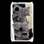 Coque Sony Xperia Typo Chatons musiciens