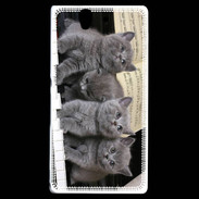 Coque Sony Xperia Z Chatons musiciens